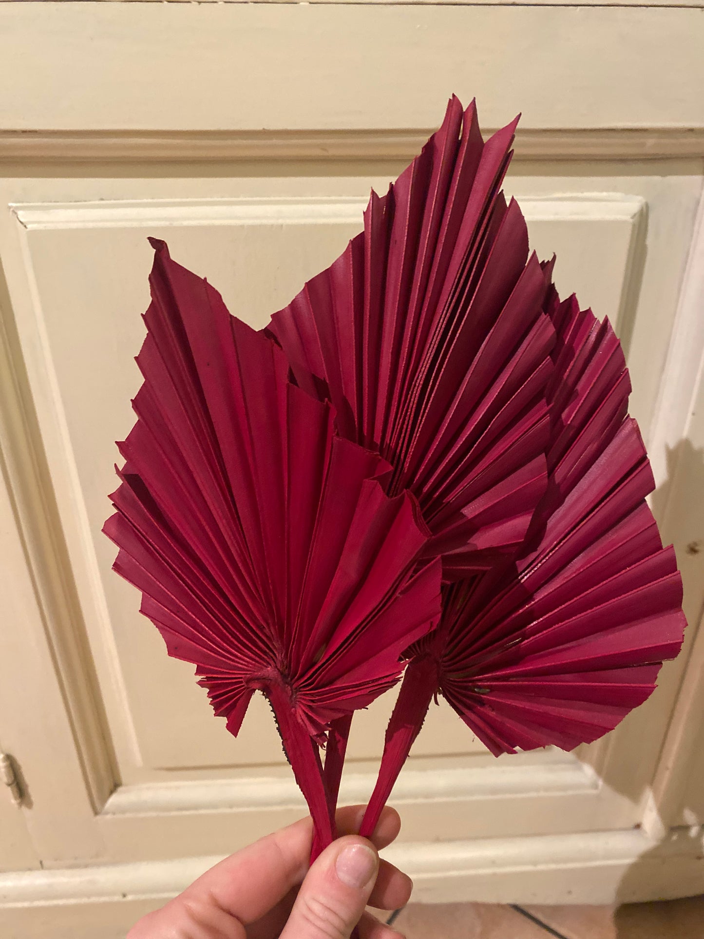 3 x große getrocknete Palmblätter Trockenblumen Palm Spaer dk.Rot