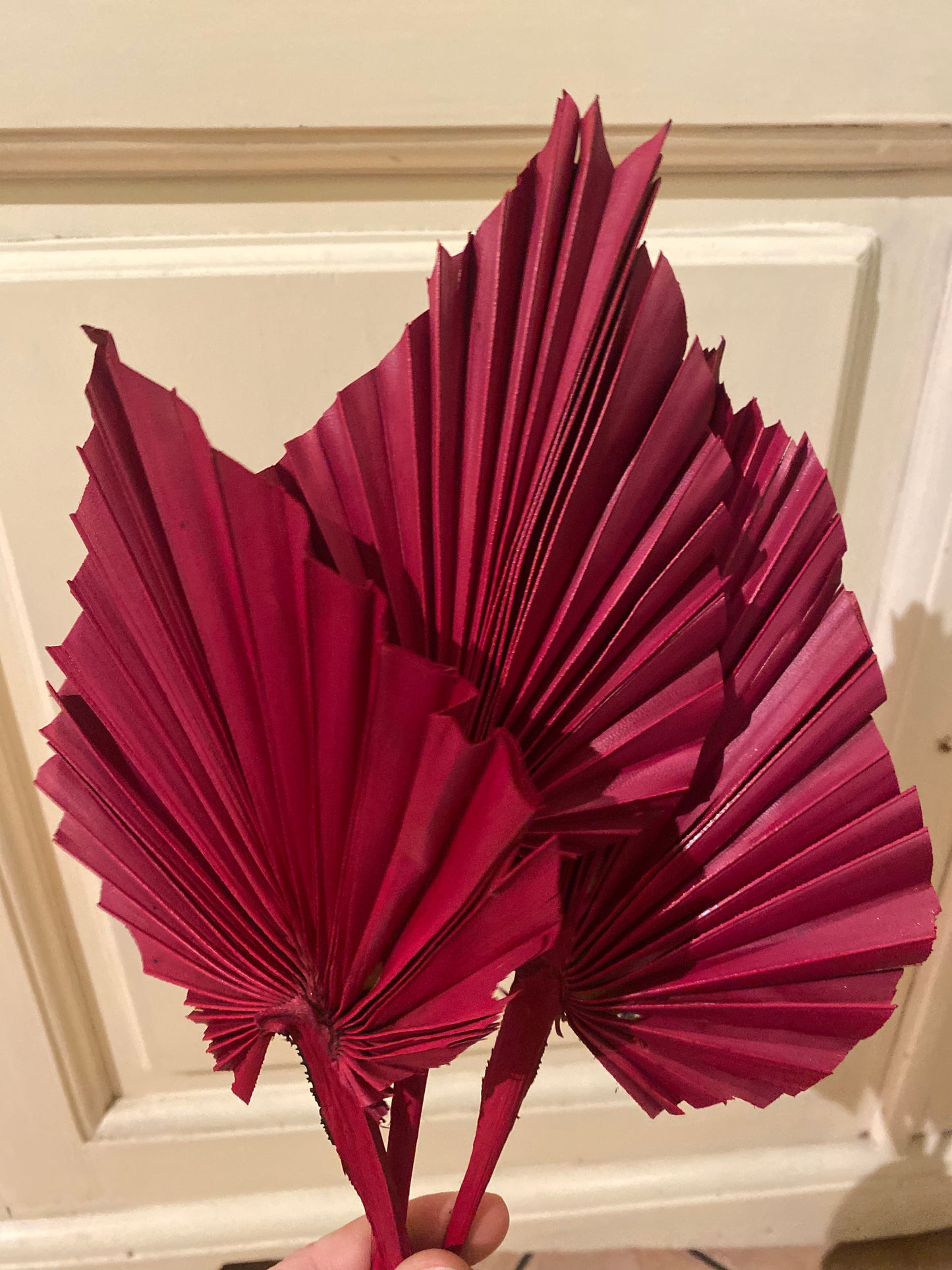 3 x große getrocknete Palmblätter Trockenblumen Palm Spaer dk.Rot